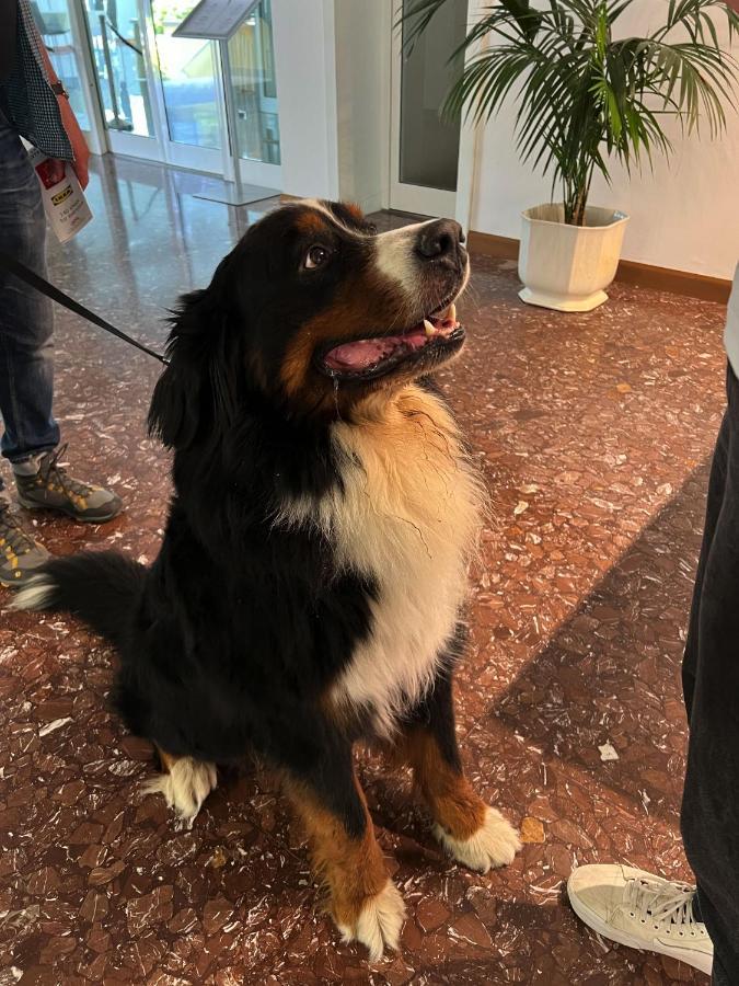 Hotel Ai Pini Grado Eksteriør bilde